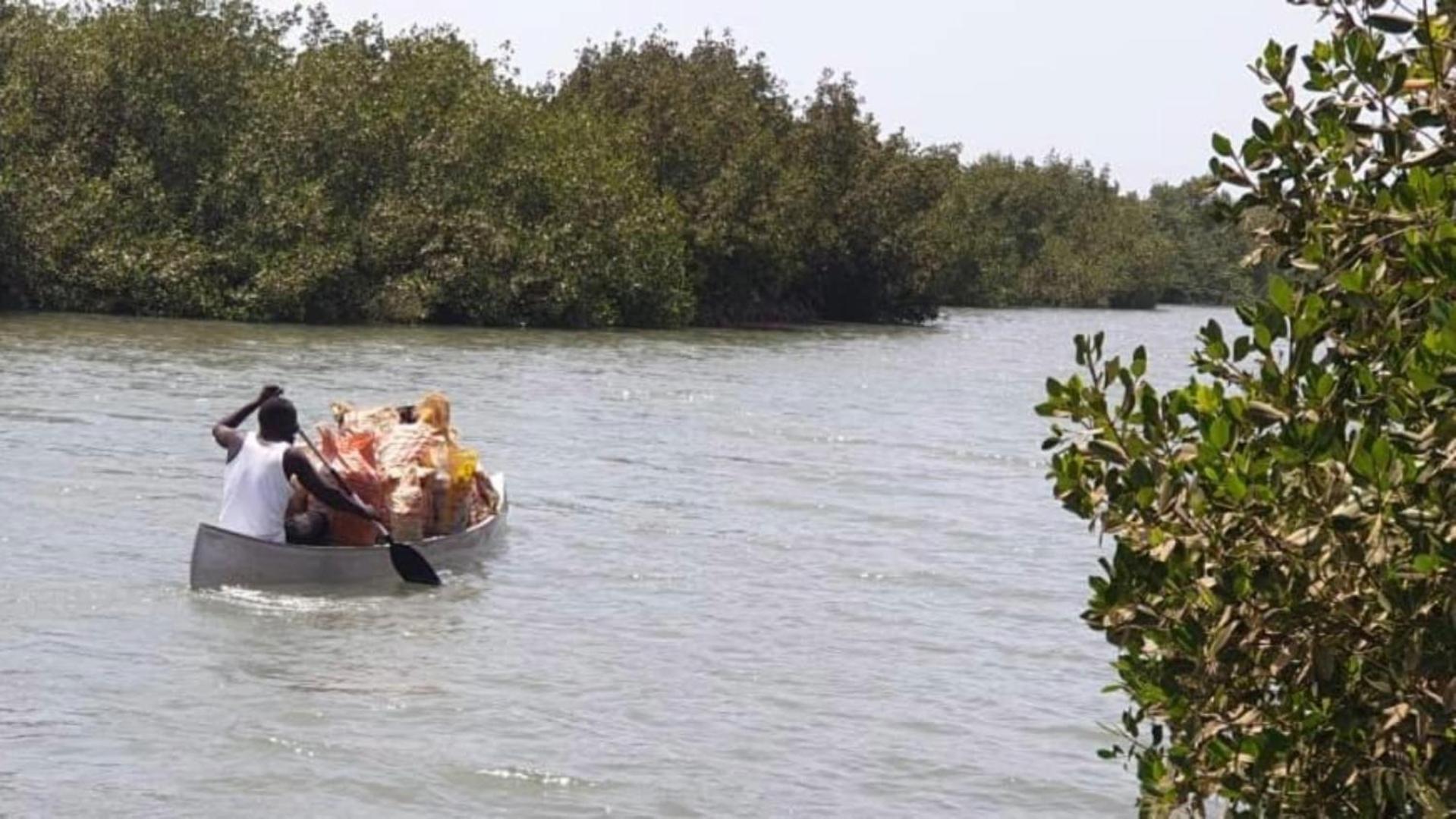 Mangrove Beach Sanyang Zewnętrze zdjęcie